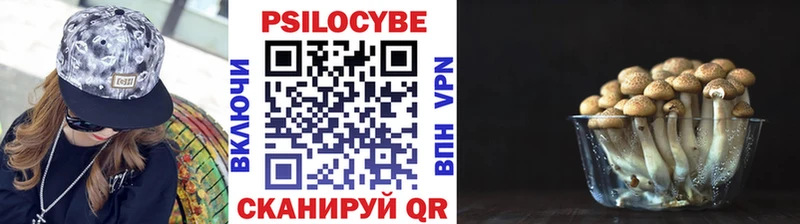 ссылка на мегу маркетплейс  Спас-Клепики  Галлюциногенные грибы Cubensis 